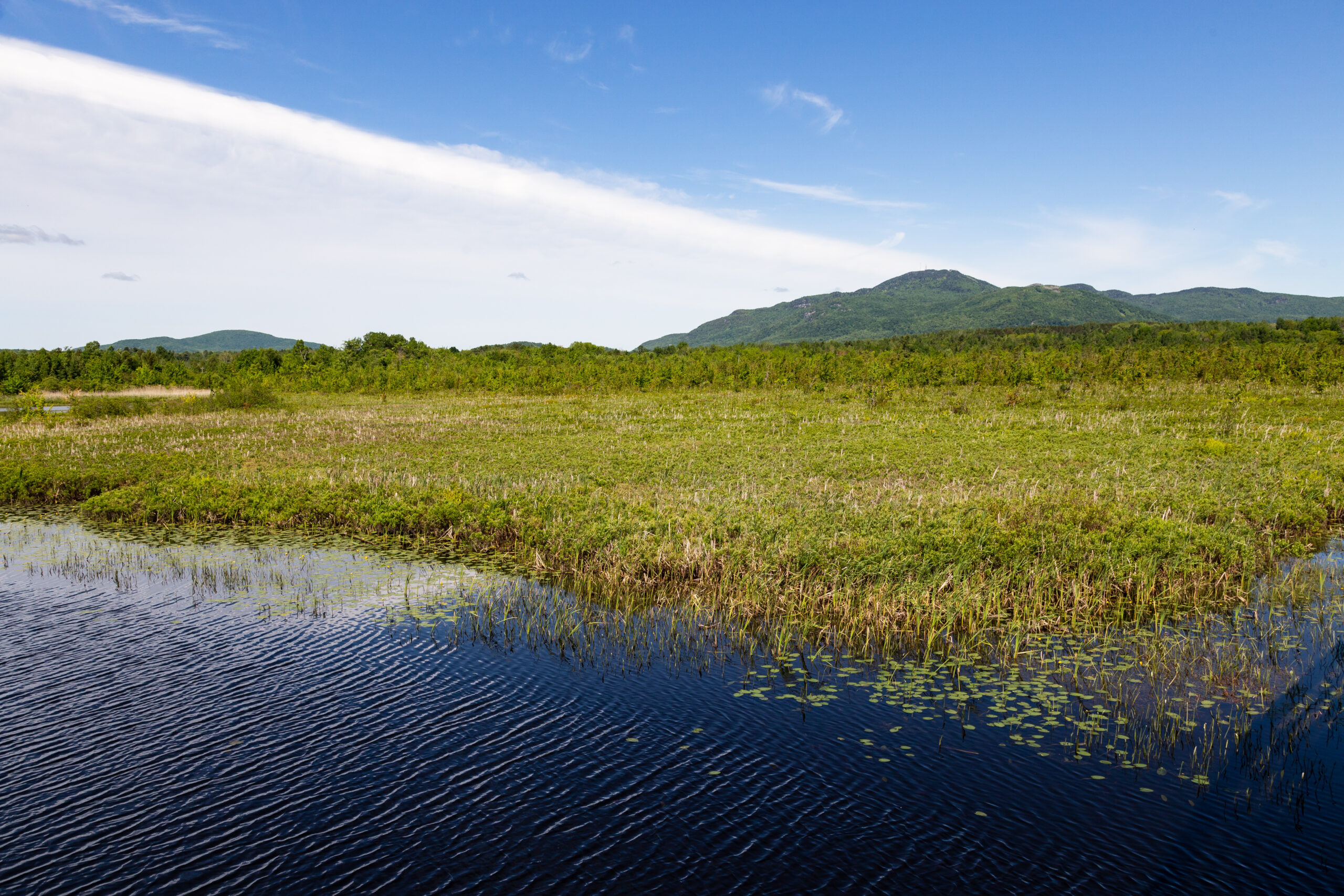 The Cherry River Marsh seen during a spring day, with Mont Orford in the background, Magog, Quebec, Canada